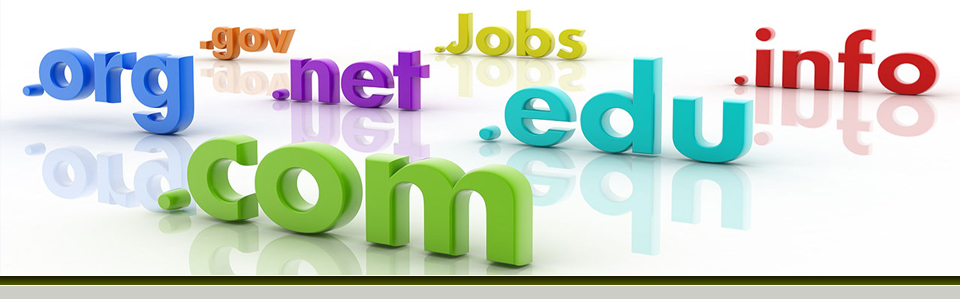 Domain and Hosting | Domain and Hosting in Pakistan | Cheapest Domain and Hosting