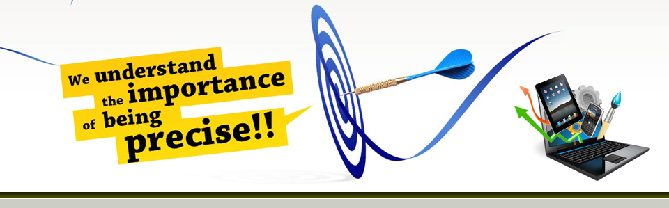 Website Payment Option