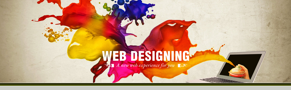 Web Development Services and CMS